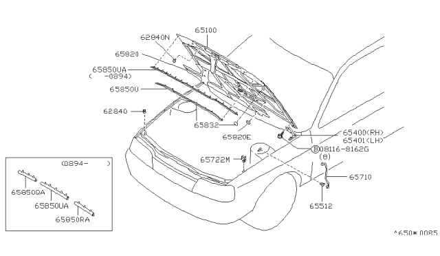 1995 Infiniti G20 Sealing Rubber - Hood Diagram for 65810-64J10