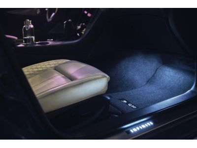 Infiniti Radiant Illuminated Kick Plates (NNA & NCI) G6950-5CV0A