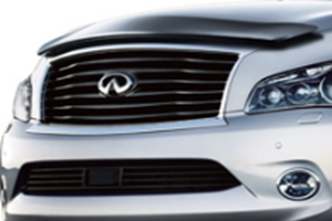 Infiniti Midnight Black Grille F2310-1LA1A