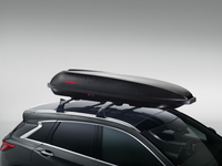 Roof Cargo Bags