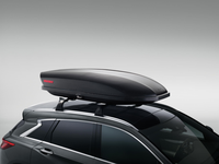 Infiniti Roof Cargo Bags - T99R2-A604A