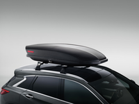 Genuine Infiniti Roof Cargo Bags