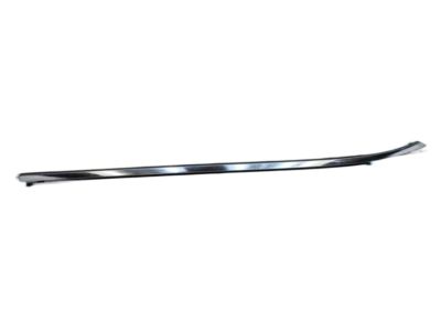 Infiniti EX35 Door Moldings - 80820-1BA0A