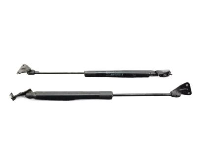 Infiniti EX35 Tailgate Lift Support - 90450-1BA0C