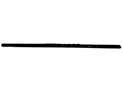 Infiniti Door Moldings - 82820-JK00E
