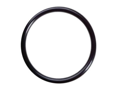 Infiniti QX70 Fuel Tank Lock Ring - 17342-01A00