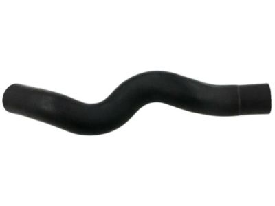 Infiniti Radiator Hose - 21501-1NA0A