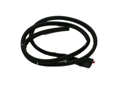 Infiniti QX56 Weather Strip - 80830-ZC00A