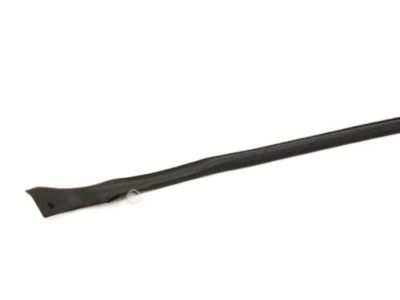 Infiniti 76861-AM800 Weatherstrip-Body Side,LH