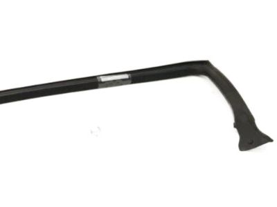 Infiniti 76861-AM800 Weatherstrip-Body Side,LH