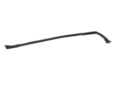 Infiniti G35 Weather Strip - 76861-AM800