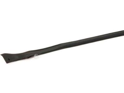 Infiniti 76861-AM800 Weatherstrip-Body Side,LH