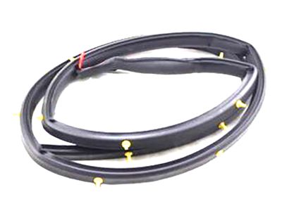 Infiniti QX56 Weather Strip - 80831-ZC00A