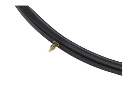 Infiniti 65810-EG000 Sealing Rubber-Hood