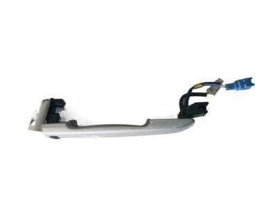 Infiniti G37 Door Handle - 80640-JK08B