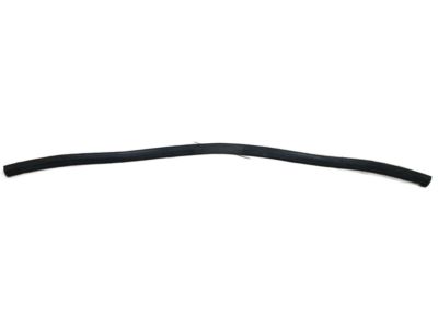 Infiniti Q60 Weather Strip - 65810-4GA0A