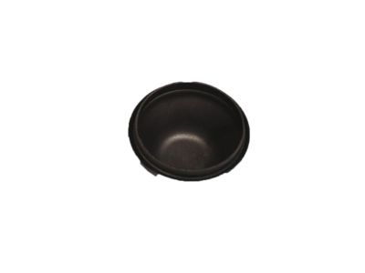 Infiniti 40041-50J03 Cap-KINGPIN