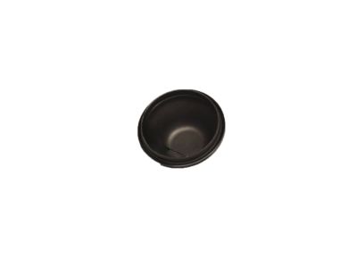 Infiniti 40041-50J03 Cap-KINGPIN