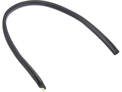 Infiniti G35 Weather Strip - 82839-JK010
