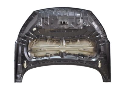 Infiniti FEA00-5NAMA Hood Assembly