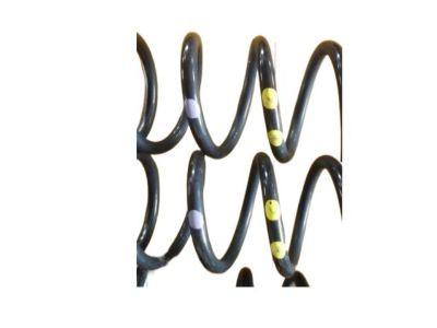 Infiniti 54010-AM603 Front Spring