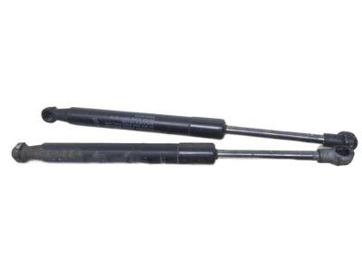 Infiniti G37 Tailgate Lift Support - 84430-JK01C