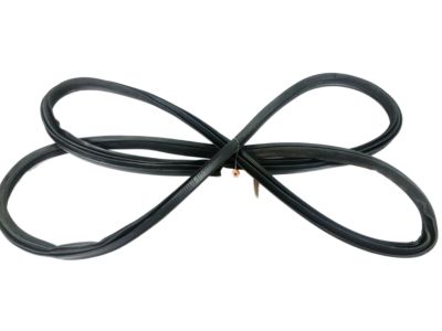 Infiniti Q50 Weather Strip - 80831-4GA0A