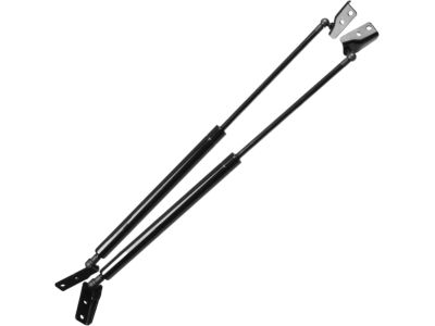 Infiniti Body Door Lift Support - 90452-CG010