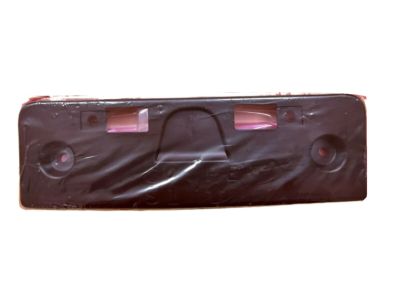 Infiniti License Plate - 96210-1NL0A