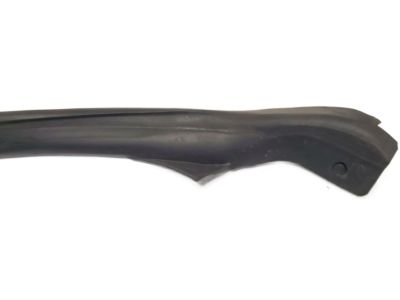 Infiniti 76860-AM800 Weatherstrip-Body Side,RH