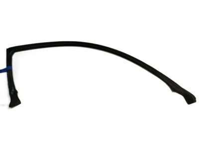 Infiniti G35 Weather Strip - 76860-AM800