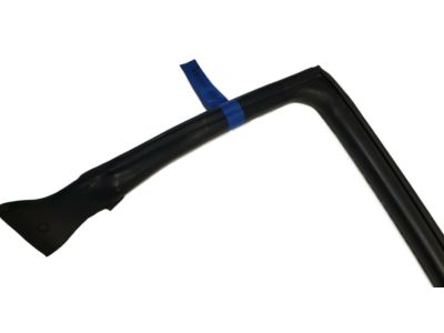 Infiniti 76860-AM800 Weatherstrip-Body Side,RH