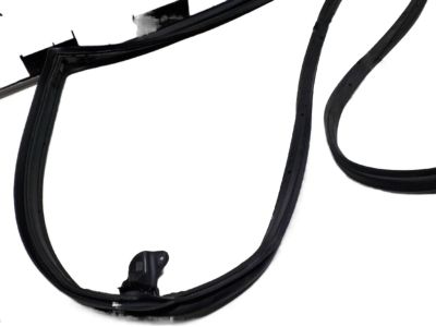 Infiniti QX80 Weather Strip - 82830-1LA0A