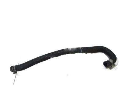 Infiniti QX56 Coolant Reservoir Hose - 21741-1LA0A