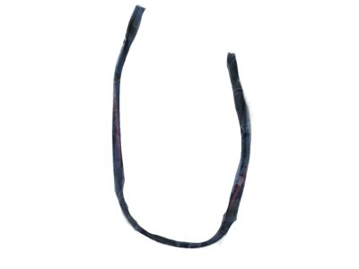 Infiniti Weather Strip - 82838-3JA1A