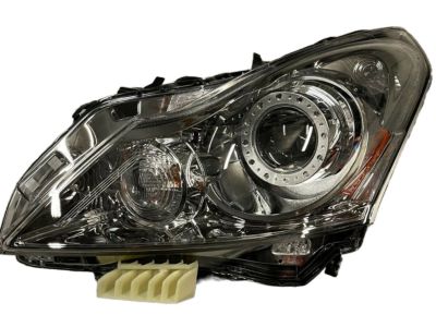 Infiniti G25 Headlight - 26060-1NM1D