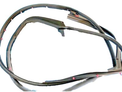 Infiniti G35 Weather Strip - 82830-JK000