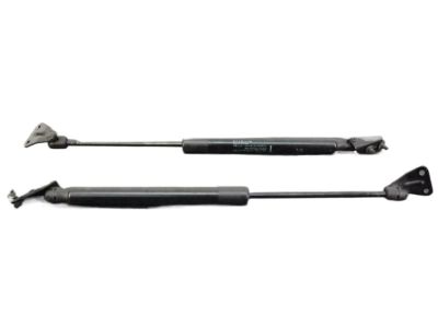 Infiniti EX35 Tailgate Lift Support - 90450-1BA1C