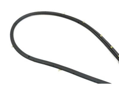 Infiniti 80831-5CA0A Weatherstrip-Front Door,LH