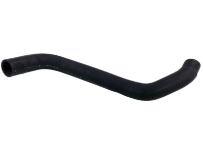 Infiniti 21503-CG000 Hose-Radiator,Lower