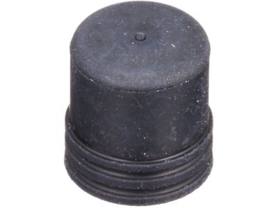 Infiniti 41129-80Z0A Cap-Bleeder Screw