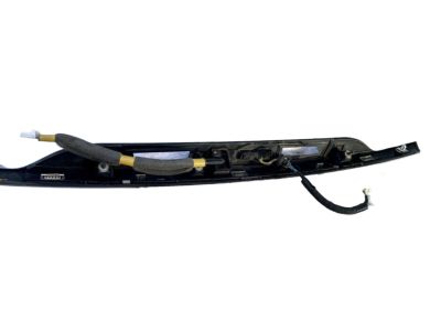 Infiniti 90816-9NC2A Finisher Assy-Back Door,Center