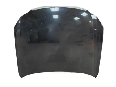 Infiniti F5100-EG0MM Hood