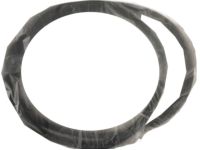 Infiniti 76922-4GA0B Weather-Strip On Body