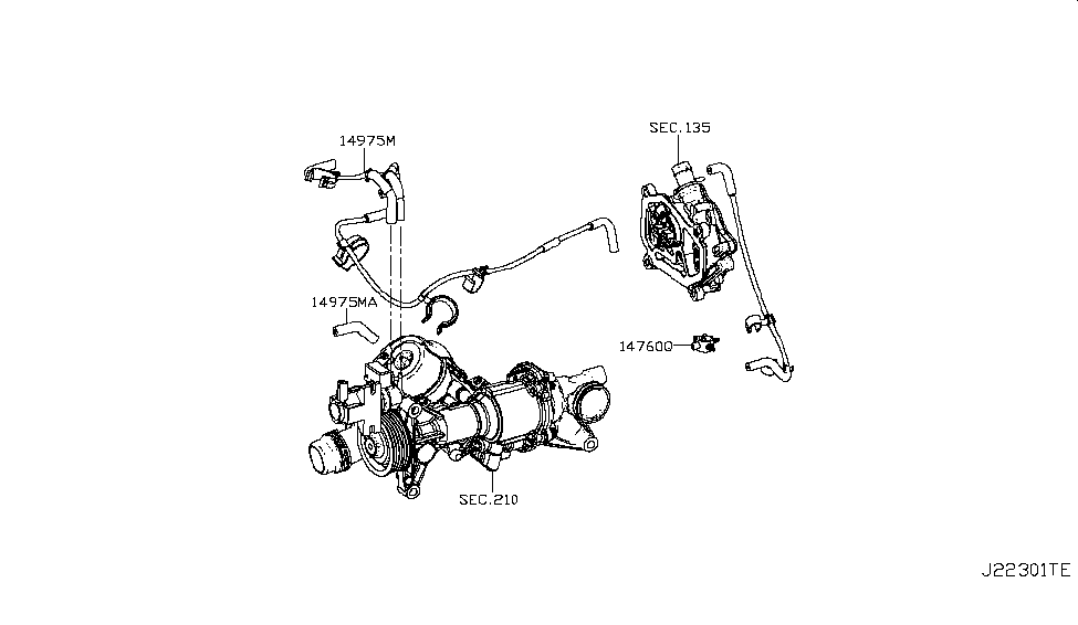 Infiniti 14975-HG00C Hose-Vacuum