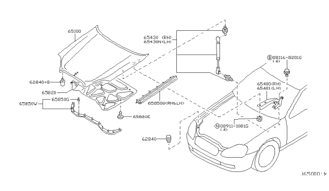 2005 Infiniti Q45 Hood Panel,Hinge & Fitting Diagram 2