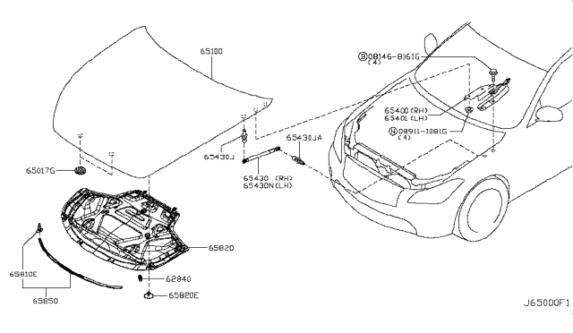 2013 Infiniti M35h Hood Panel,Hinge & Fitting Diagram