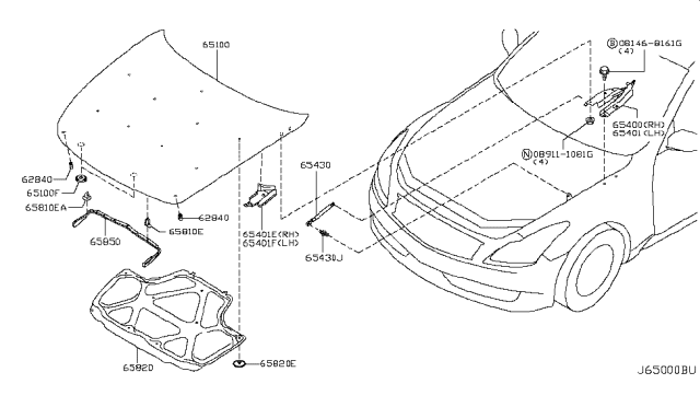 2011 Infiniti G37 Coupe Hood Panel,Hinge & Fitting Diagram