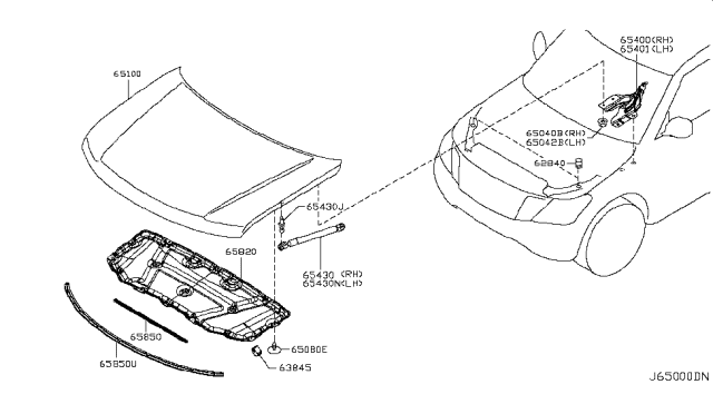 2012 Infiniti QX56 Hood Panel,Hinge & Fitting Diagram 1