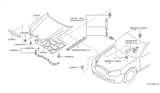 Diagram for 2006 Infiniti Q45 Hood Hinge - 65401-AR000